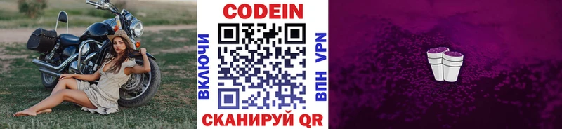 ссылка на мегу вход  Старая Русса  Кодеин Purple Drank  купить  цена 