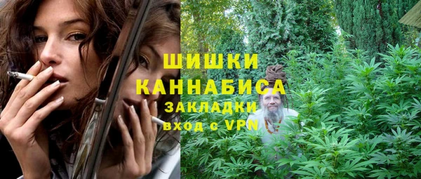 молекула духа Лагань